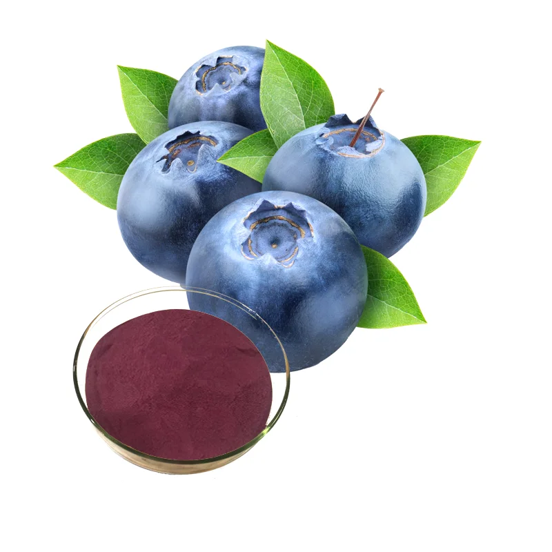 Factory Supply Blueberry Powder Blueberry Juice Powder Blueberry