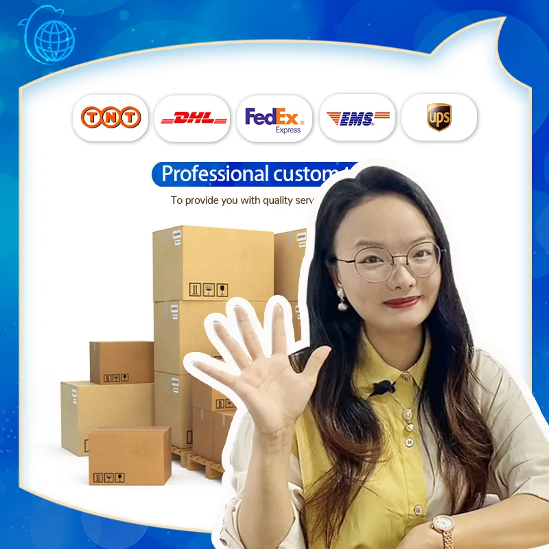 Sea Air Cargo Busan Ocean Freight Logistics Services Shipping Agent in International Singapore Shipping Price From Korea Usa