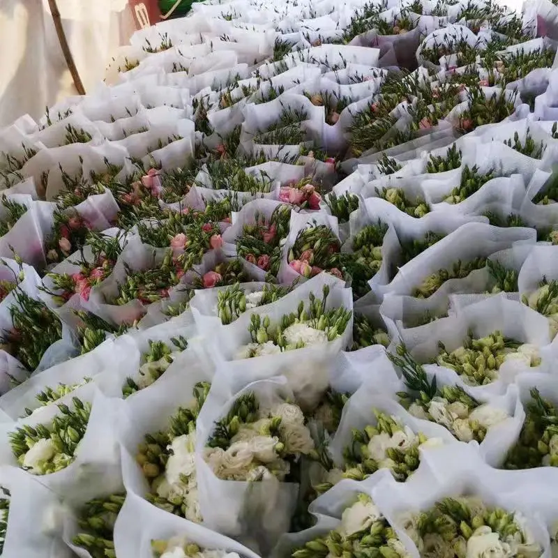 Non Woven Flower/Plant Bag Sleeve details