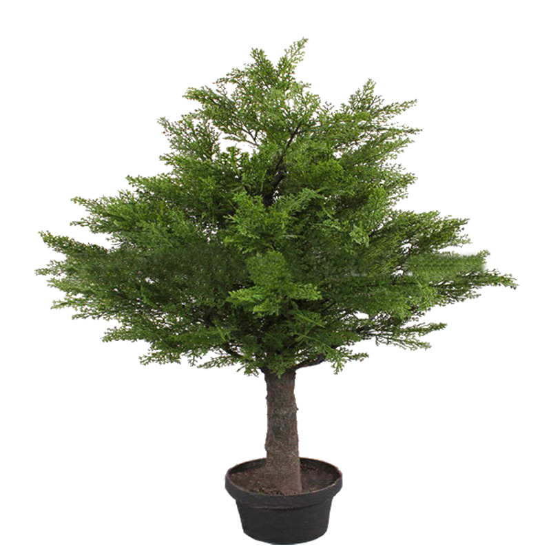 
LXY071644, китайский поставщик, искусственная сосна и ципарис, бонсай, декоративные растения 