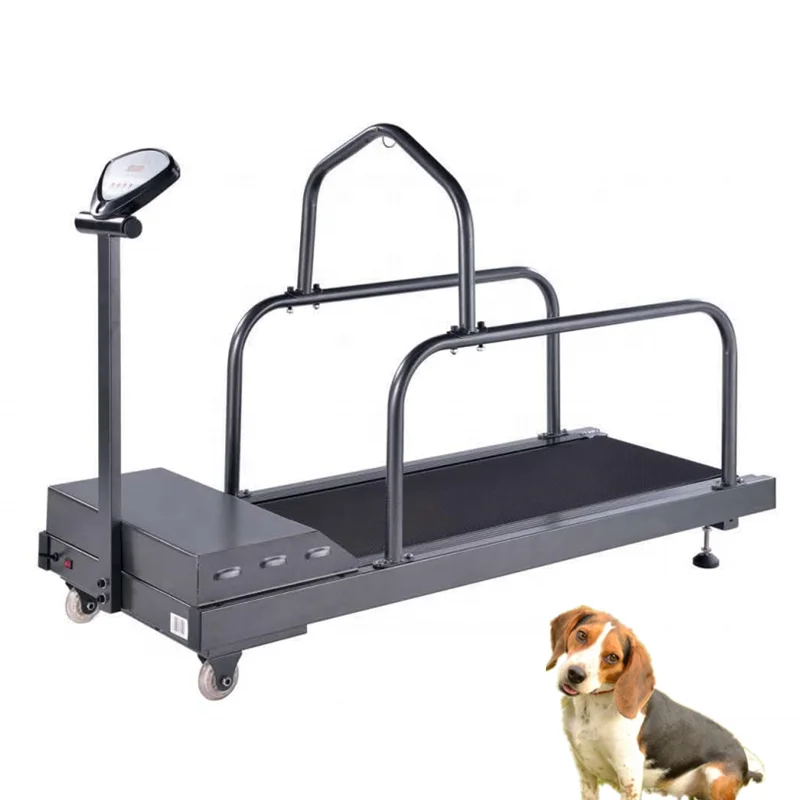 doggy treadmill for sale