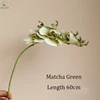 Vert Matcha