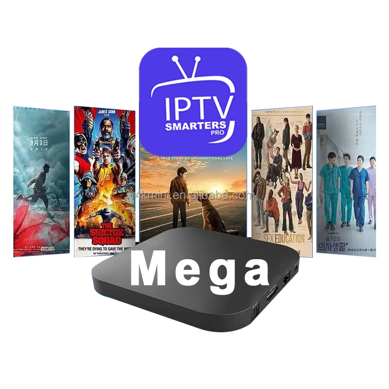 Hd Android Tv Box Iptv M3u Mega Ip Tv Subscripti Panel Canada Australia Usa Free Shipping Ip Tv 3275