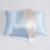 Azzurro chiaro e bianco argento (federa singola)