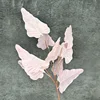 Feuille de Calla Rose
