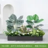 hc-Y80-36 es adecuado para jardineras de 80 cm.