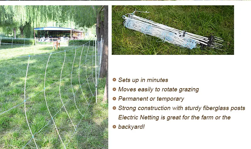 Factory Electric Customized Plastic Fence Netting For Horse Sheep Gosts ...