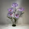 Viola chiaro