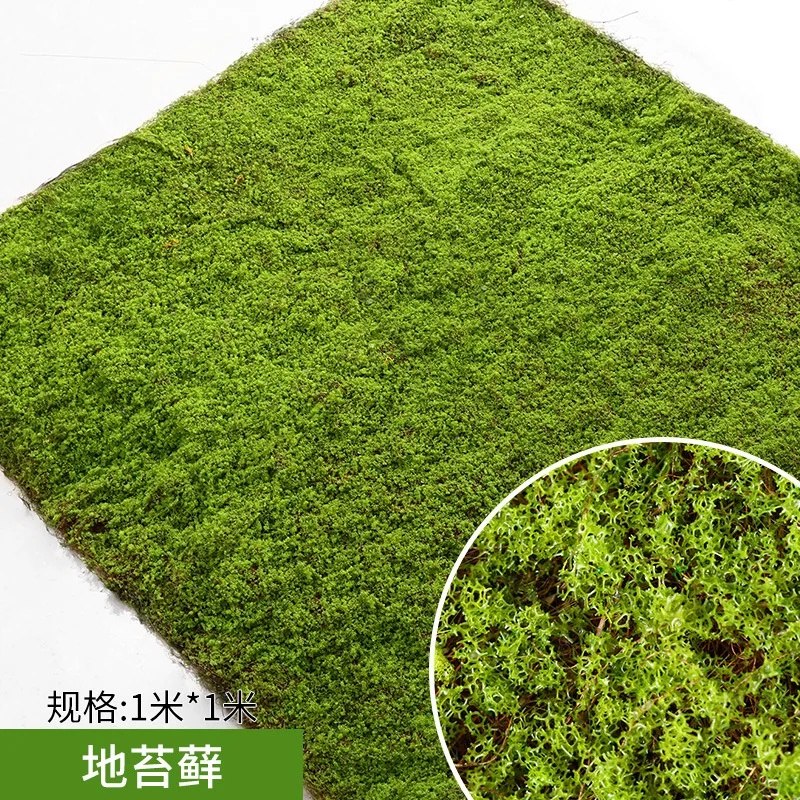 Оптовая продажа консервированный мох Настенный Современный олень Натуральный Мох для домашнего декора «Сделай сам»