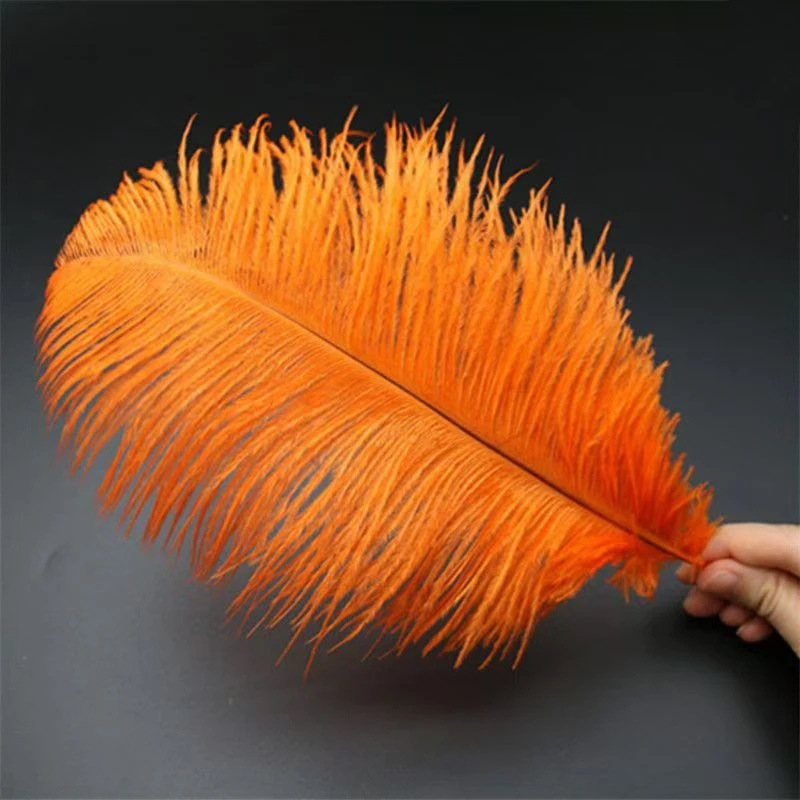 Multi-color Ostrich Large Feather for Wedding Decoration South Africa Bird Real  Art Carnival Costume