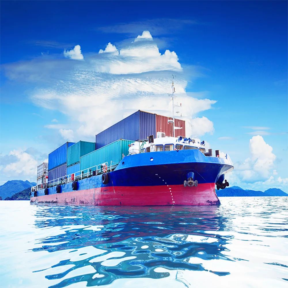 Sea Freight Forwarder Logistics Service Shipping Rates From China to India India Online Shopping