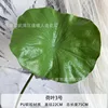 Lotus Leaf No. 3