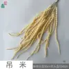 Arroz colgante TB color Champagne
