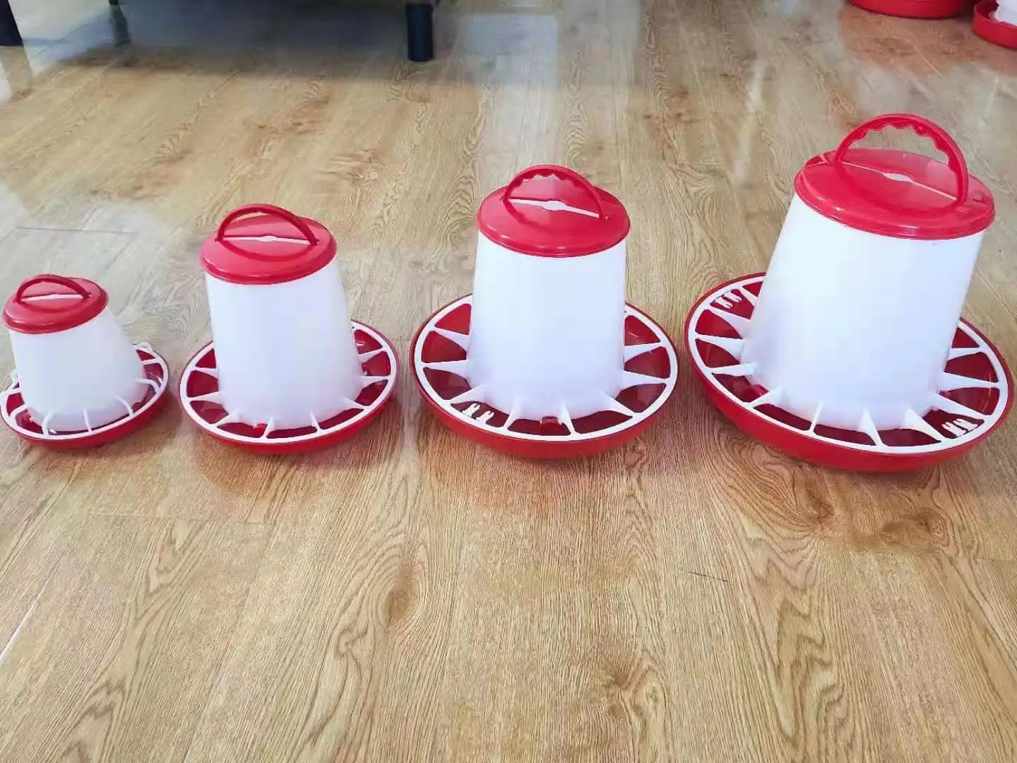 IP55 1.2L Hopper Chicken Feeder Automatically Poultry Breeding Equipment