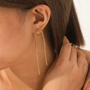 MW Stainless Steel Long Tassel Earrings Luxury High-end Earrings Trendy and Exquisite Versatile Earrings for Women Earrings