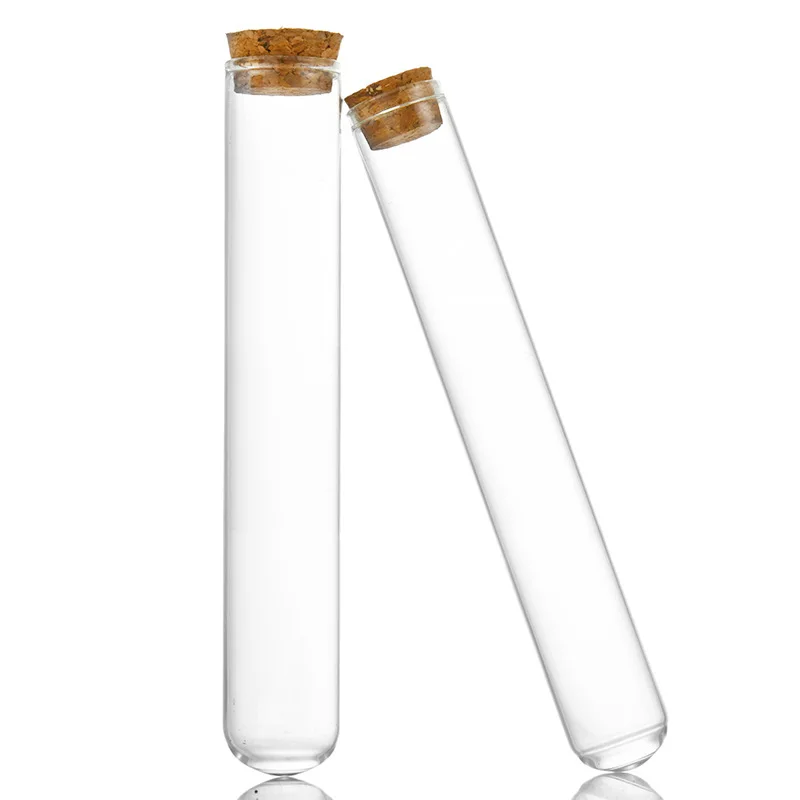 Decorative Small Mini Transparent Display Glass Cloche Dome with Cork Base