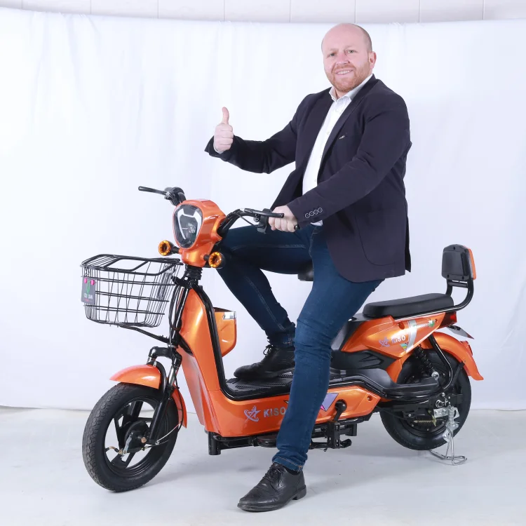 Ebike 車体　Yuki専用 12-5ah-250W-Li-ion-Battery-