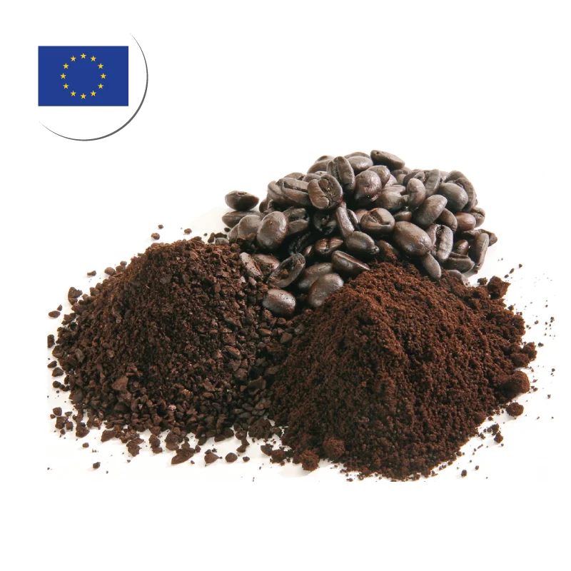 Organic Dry Cocoa Beans for Sale for Europe