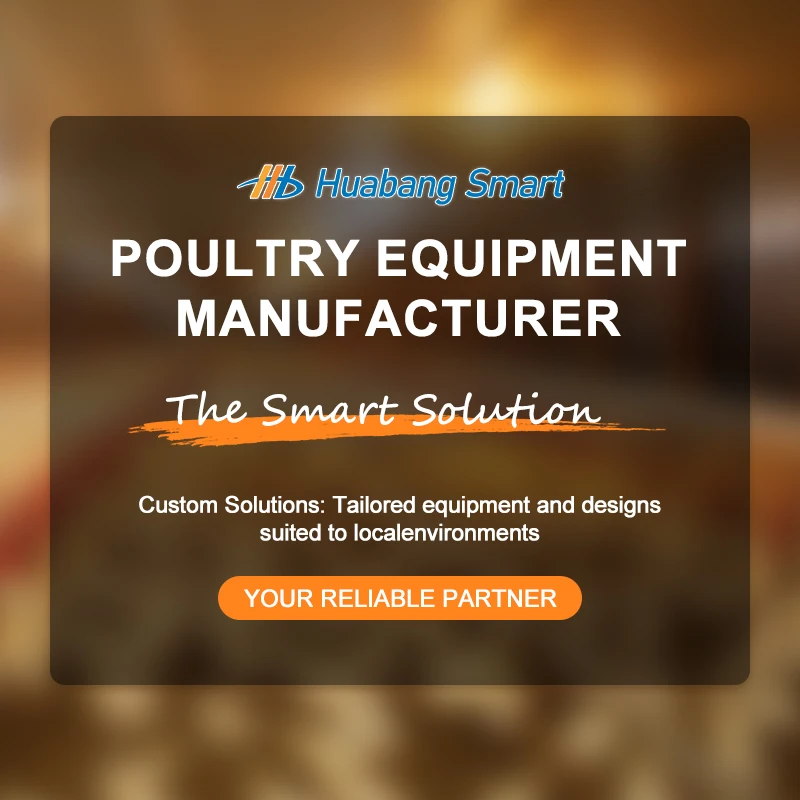 Cheap Price and Fast Shipping Automatic Feeders and Drinkers for Chickens