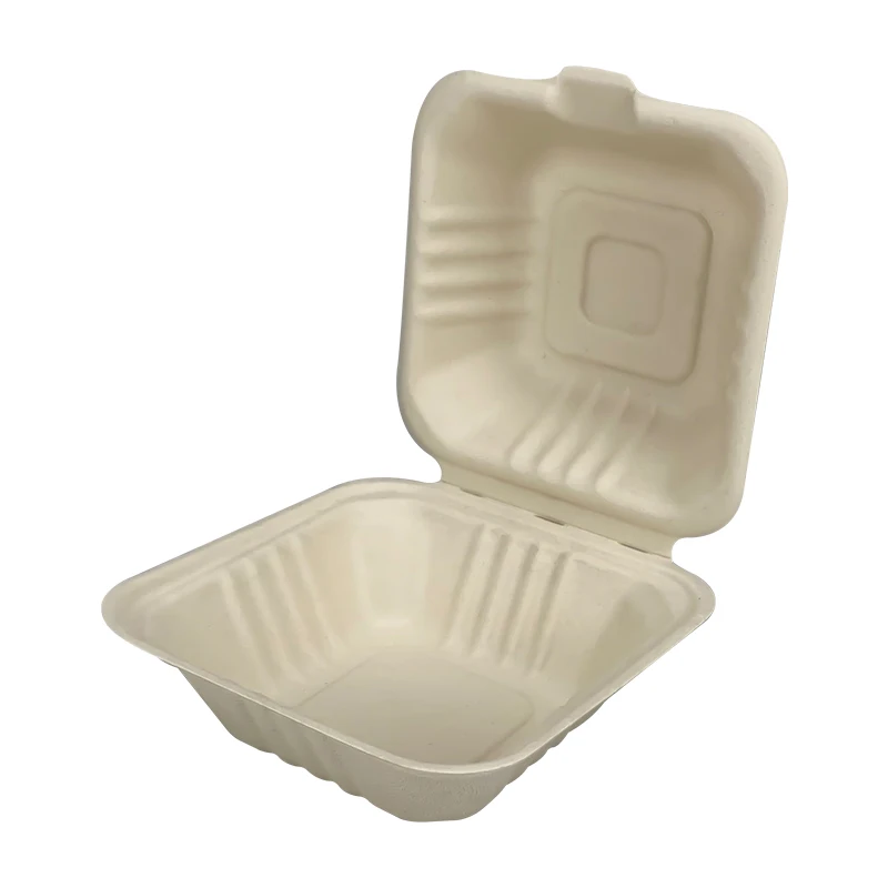 Bagasse plates and trays with PET lids - Directecogreen