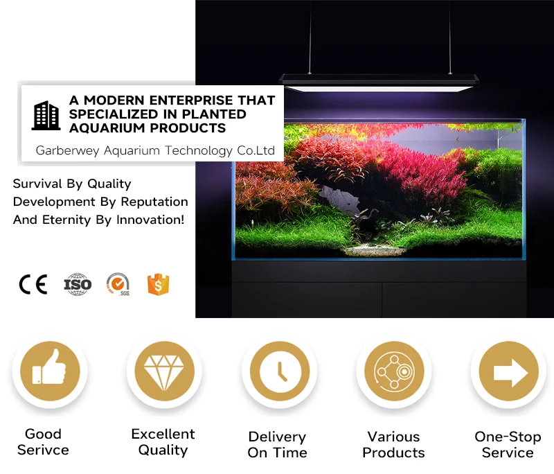 Factory Price 160w Netlea Led Wrgb Led Aquarium Light For Freshwater Planted Tank Buy 120w Rgb