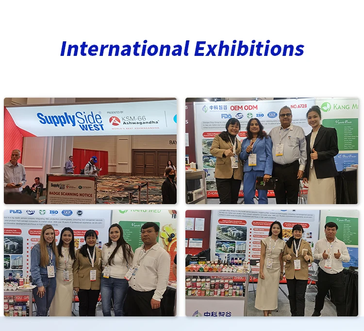 OEM Private Label Body Magic Chlorophyll Capsules Adult-Friendly Parsley Leaf Supplements for Health and Wellness One Bottle