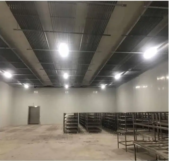 Customized cold storage and freezing systems for food processing and cold chain logistics