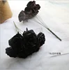 7 teste fiore con foglia