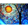 LD469 colorato
