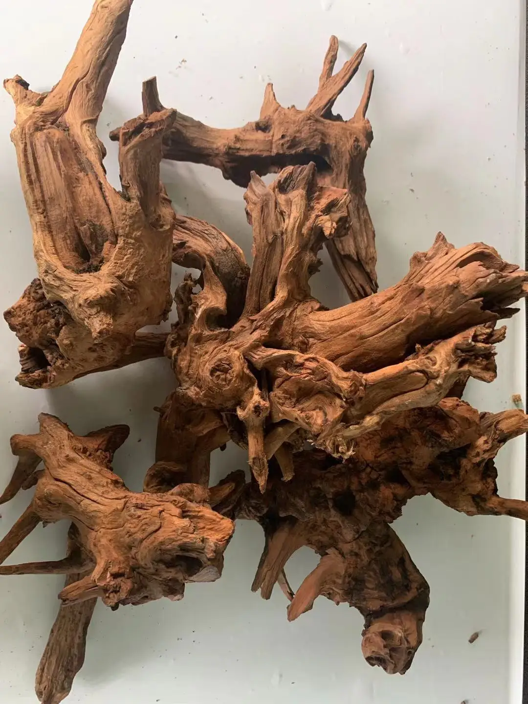 fish aquarium decoration driftwood malaysia mangrove wood