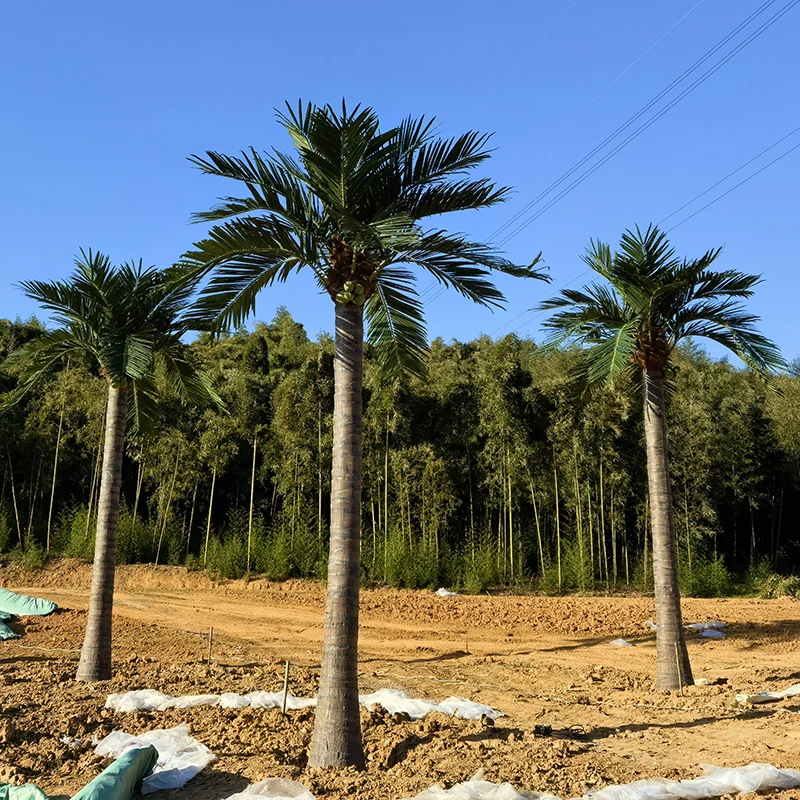 4m Groe Knstliche Palmen Outdoor Groer Faux Baum Schwer Entflammbare  Dattelpalme Knstliche Kokospalmen| Alibaba.com