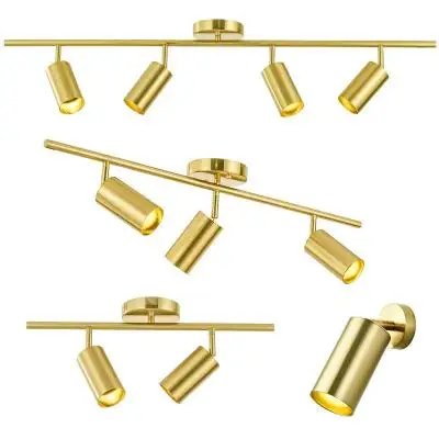 Customizable Length Golden LED Spotlights