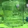 transparent