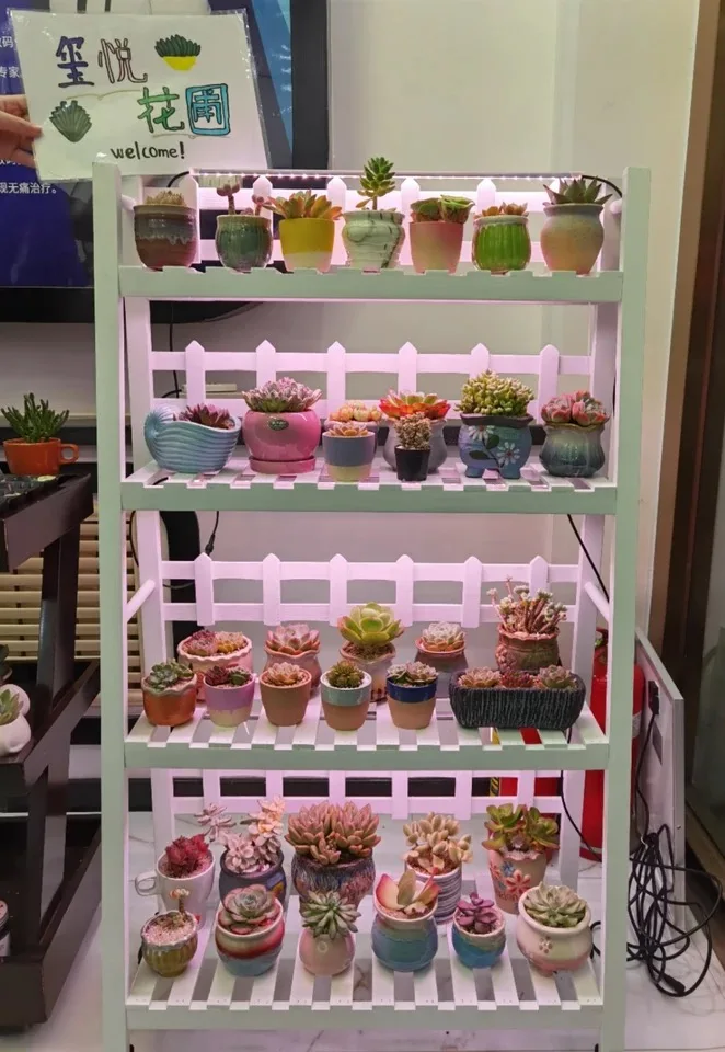 Remote Control Timingsolar Powered Grow Lights Full Spectrum Solar Led