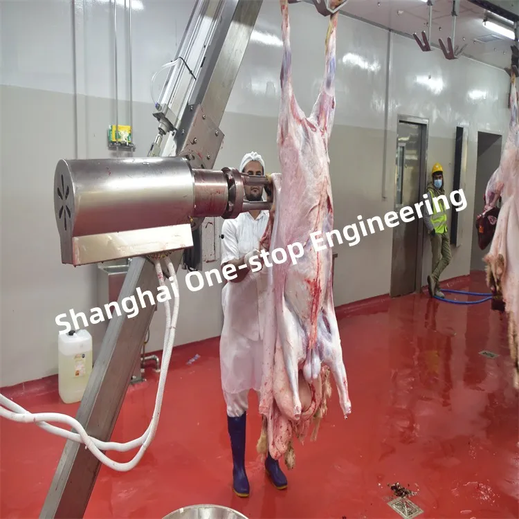 Sheep slaughterhouse plants 100 goat meat slaughterhouses per day