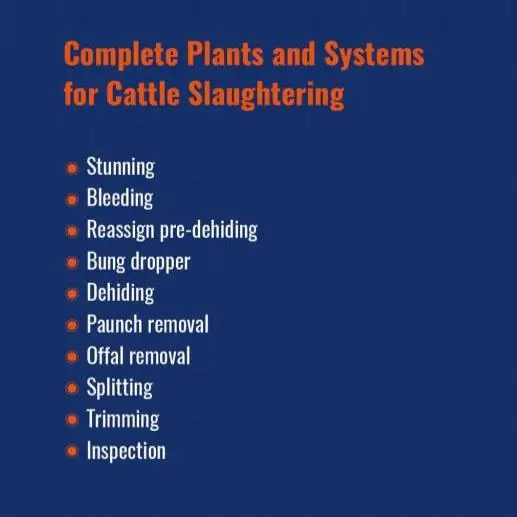 Turnkey Cattle Slaughterhouse Project Complete Beef Slaughter Line Meat Processing Equipment Manufacturer