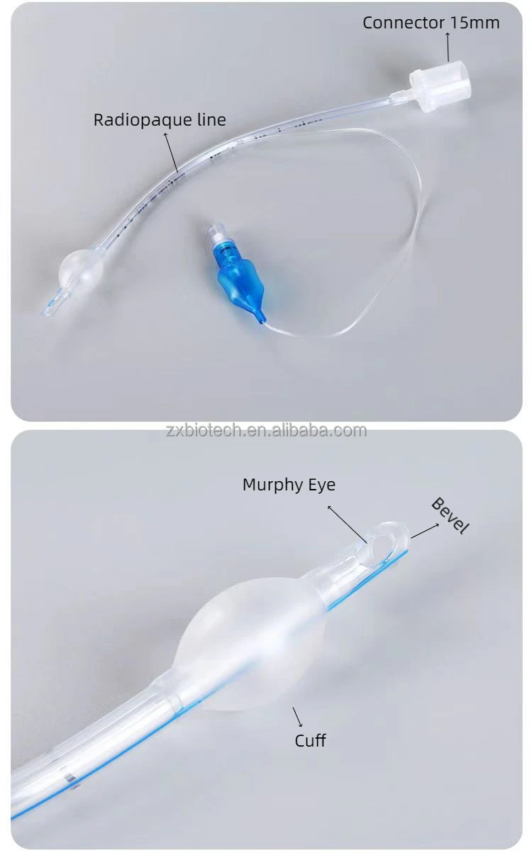 Et Tubes Endotracheal Tube Cuffed Tracheal Cannula Connect Anestesia ...