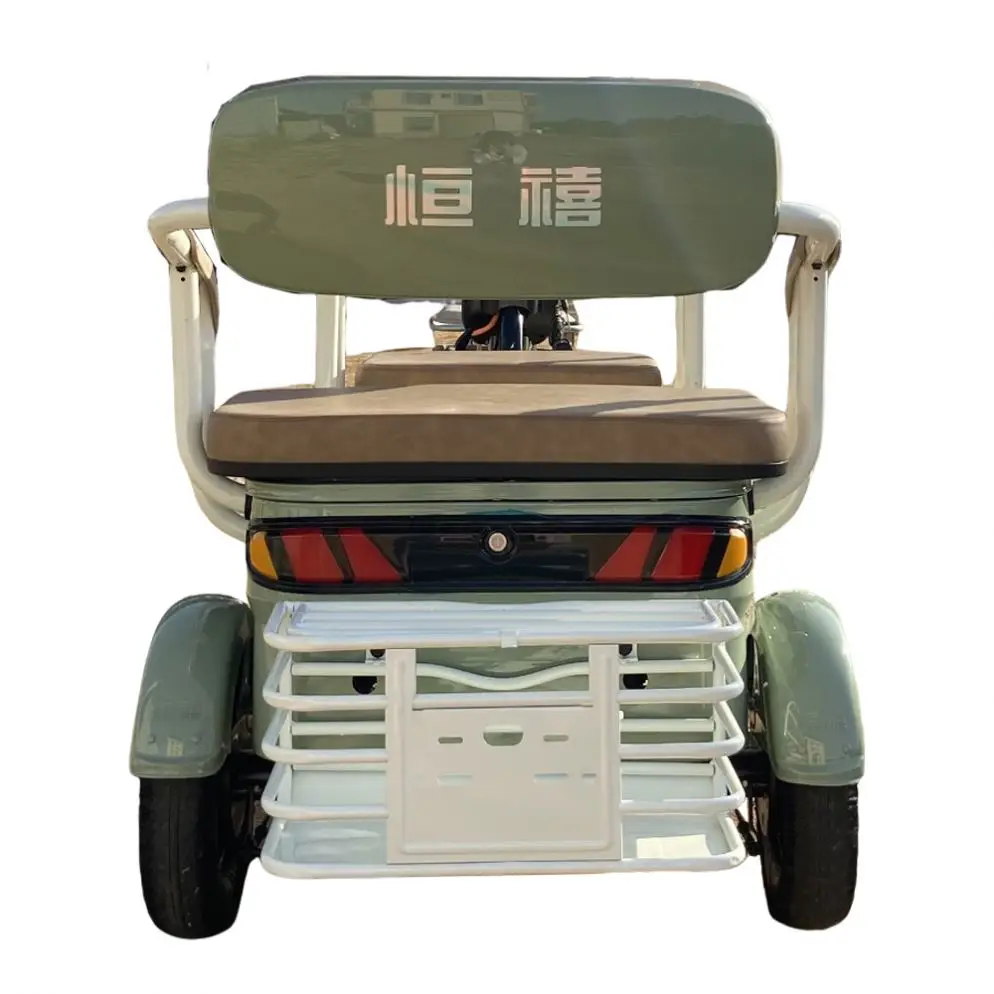 The Listing Cbu Trike Minghong Electric Car With New Design