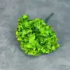 Verde oscuro