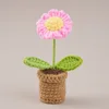 Pink Daisy