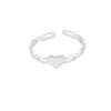 R017-Silver