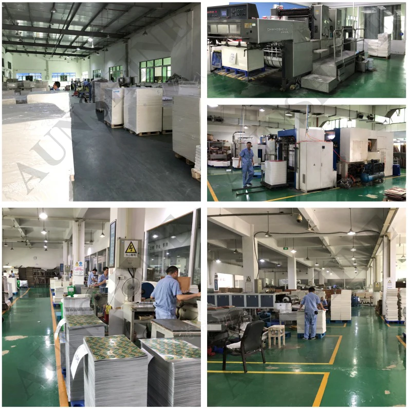 Qingdao Aunshine Technology Co., Ltd. 3