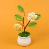 (type d) (casual style) wishful thinking "orange" potted plant