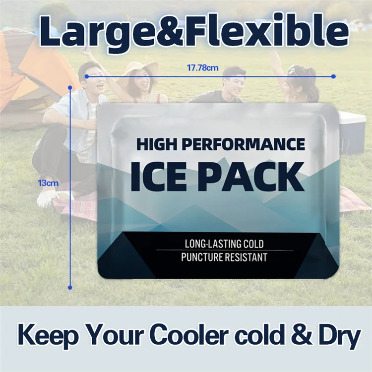 Reusable Wholesale Coolers Customlogo Frozen Frozn Large Fruit Shipping Ice Pack Ice Bag