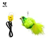 Oiseau chanteur (Greenback)