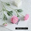 #1 rosa viola