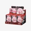 SKULLPANDA Winter Symphony 6PCS/Set