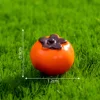 colorful Persimmon No. 5