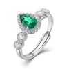 RG023395-plata