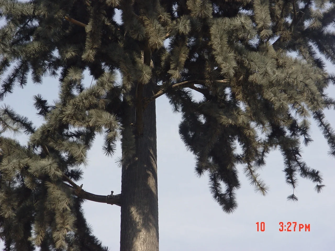 product-1-1 product-1-1